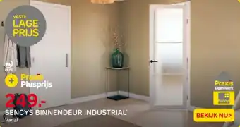 Praxis Sencys binnendeur industrial aanbieding