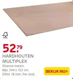 Praxis Hardhouten multiplex aanbieding