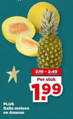 PLUS PLUS Galia meloen en Ananas aanbieding
