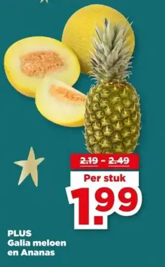 PLUS PLUS Galia meloen en Ananas aanbieding