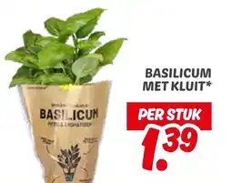 Dekamarkt Basilicum met kluit aanbieding