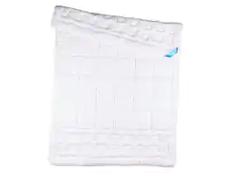 Lidl LIVARNO Dekbed 200 x 200 cm aanbieding