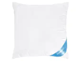 Lidl LIVARNO Hoofdkussen 60 x 50 cm aanbieding