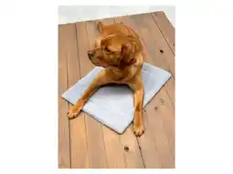 Lidl Karlie Zelfverwarmende honden- of kattenmat aanbieding