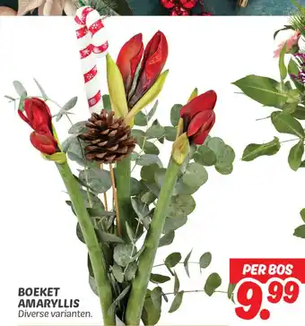 Dekamarkt Boeket Amaryllis aanbieding