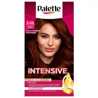 Trekpleister Schwarzkopf Poly Palette 650 Middenbruin Haarkleuring aanbieding