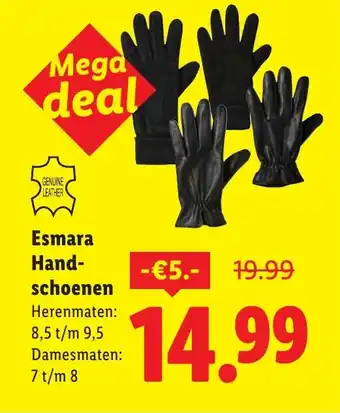Lidl Esmara Handschoenen aanbieding