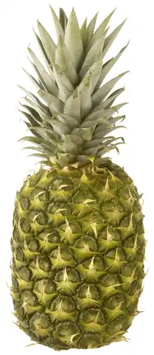 PLUS Neutraal Ananas aanbieding
