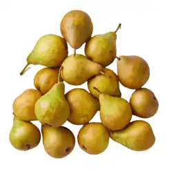 PLUS PLUS Stoofperen Gieser Wildeman los aanbieding