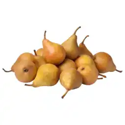 PLUS PLUS Stoofperen Gieser Wildeman los aanbieding