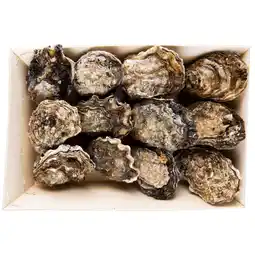 Dirk Premier Zeeuwse oesters mandje aanbieding