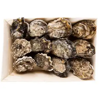 Dirk Premier Zeeuwse oesters mandje aanbieding