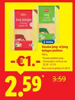 Lidl Goudse jong-of jong belegen plakken aanbieding