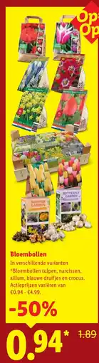 Lidl Bloembollen aanbieding