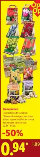 Lidl Bloembollen aanbieding