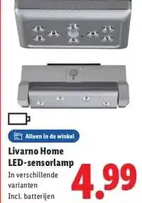 Lidl Cantaloupe- -31% aanbieding