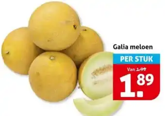 Hoogvliet Galia meloen aanbieding