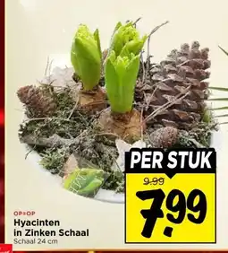Vomar Voordeelmarkt Hyacinten in Zinken Schaal aanbieding