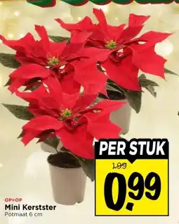 Vomar Voordeelmarkt Mini Kerstster aanbieding