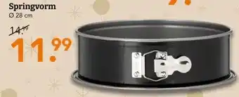 Blokker Springvorm aanbieding