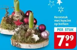 Hoogvliet Kerststuk met hyacint op berken aanbieding