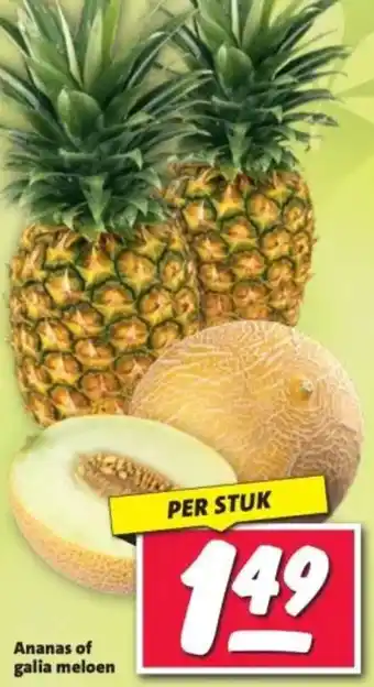 Nettorama Ananas of galia meloen aanbieding