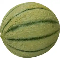 Jumbo Jumbo Cantaloupe Meloen 1 Stuks aanbieding