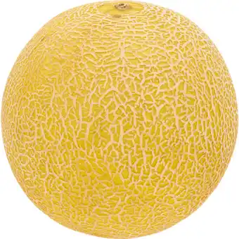 Jumbo Galia Meloen aanbieding