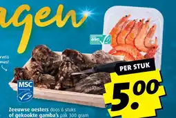 Boni Zeeuwse oesters of gekookte gamba's aanbieding