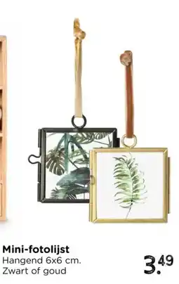 Xenos Mini-fotolijst aanbieding