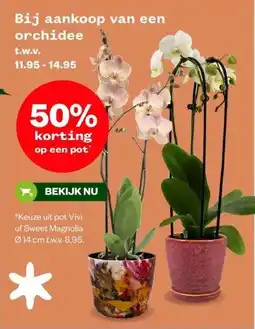 Welkoop Bij aankoop van een orchidee aanbieding