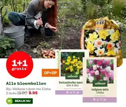 Welkoop Alle bloembollen aanbieding