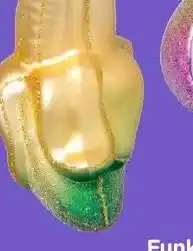 Xenos Banaan aanbieding