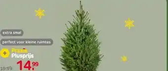 Praxis Central Park Kerstboom - Omorika - In aanbieding