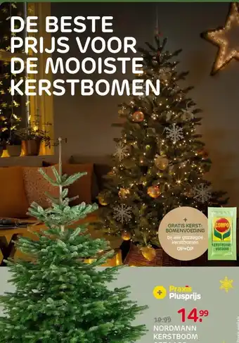 Praxis Central Park Kerstboom - Nordmann - aanbieding
