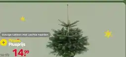 Praxis Central Park Kerstboom - Nordmann - In aanbieding