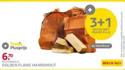 Praxis Golden Flame haardhout 10dm3 aanbieding