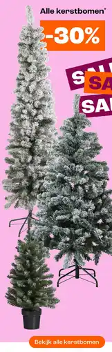Kwantum Alle kerstbomen aanbieding