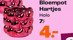 Kwantum Bloempot Hartjes aanbieding