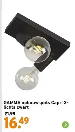 GAMMA GAMMA opbouwspots Capri 2-lichts zwart aanbieding