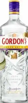 Gall & Gall Gordon's London Dry 100CL aanbieding