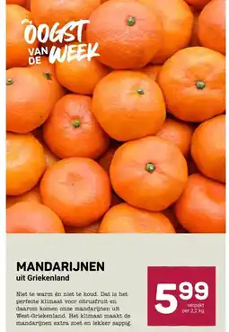 Ekoplaza MANDARIJNEN aanbieding