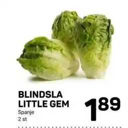 Ekoplaza BLINDSLA LITTLE GEM aanbieding