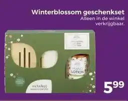 Trekpleister Winterblossom geschenkset aanbieding