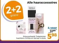 Trekpleister Alle haaraccessoires aanbieding