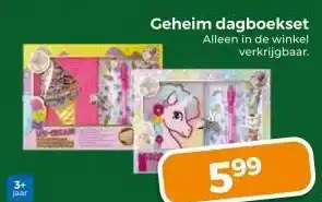 Trekpleister Geheim dagboekset aanbieding