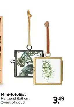 Xenos Mini-fotolijst aanbieding