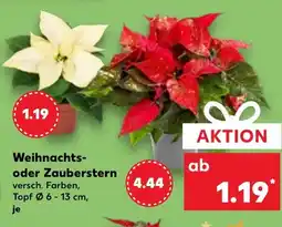 Kaufland DE Weihnachtsoder Zauberstern aanbieding