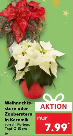 Kaufland DE Weihnachtsstern oder Zauberstern in Keramik aanbieding