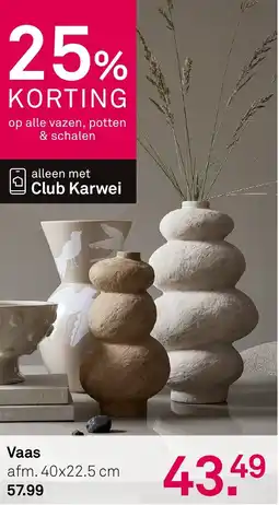 Karwei Vaas aanbieding